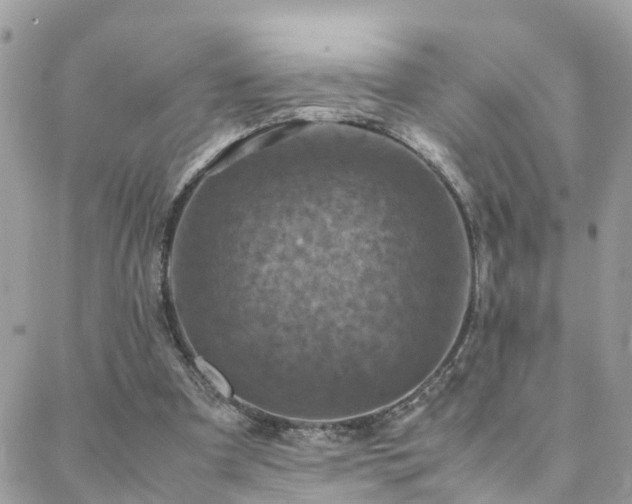 X0000088360297200705221038