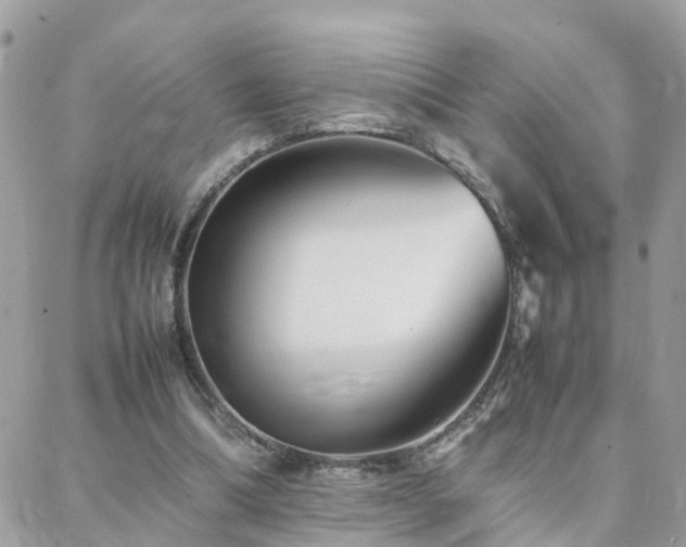 X0000088360298200705221038