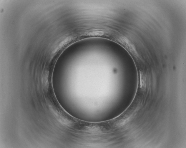 X0000088360300200705221038