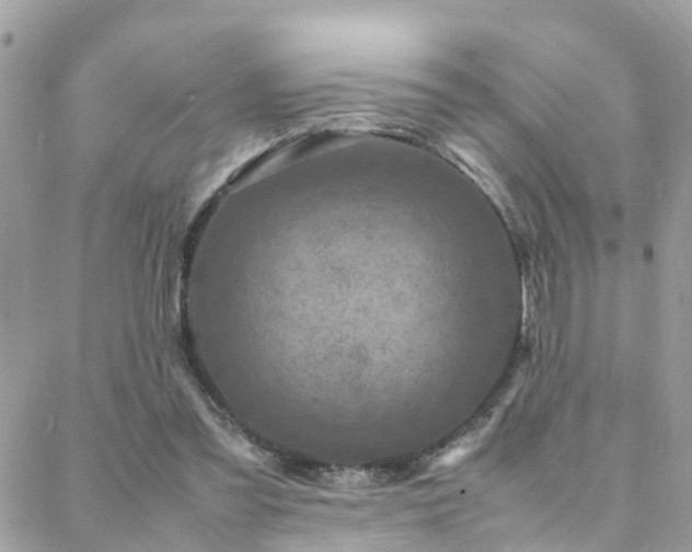 X0000088360301200705221038