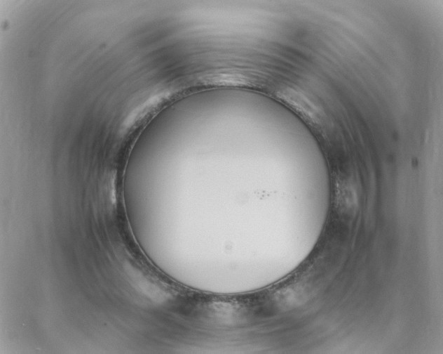 X0000088360302200705221038