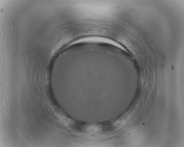 X0000088360303200705221038