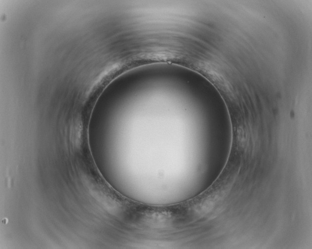 X0000088360304200705221038