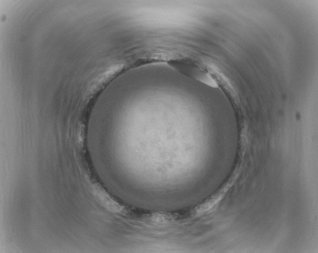 X0000088360305200705221038