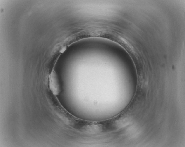 X0000088360307200705221038