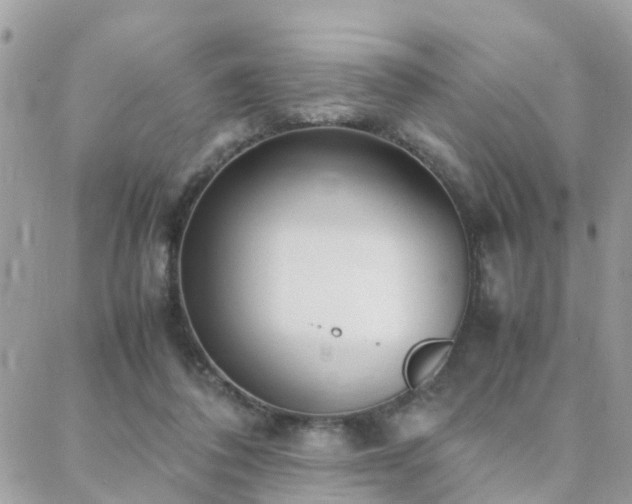 X0000088360308200705221038