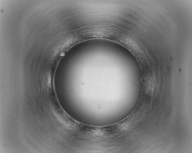 X0000088360310200705221038