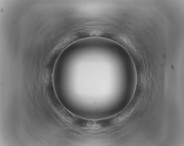 X0000088360311200705221038