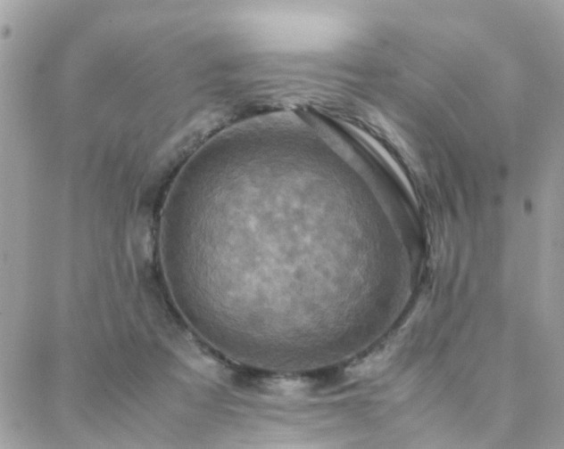 X0000088360313200705221037