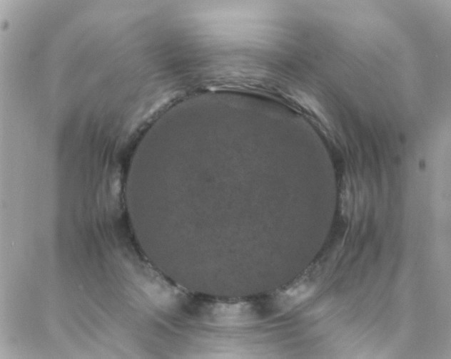 X0000088360314200705221037