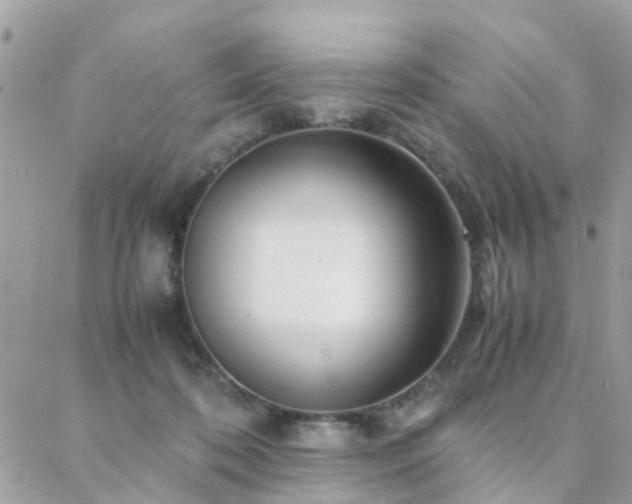 X0000088360316200705221037