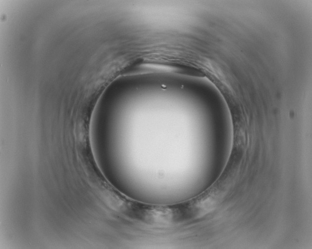 X0000088360317200705221037