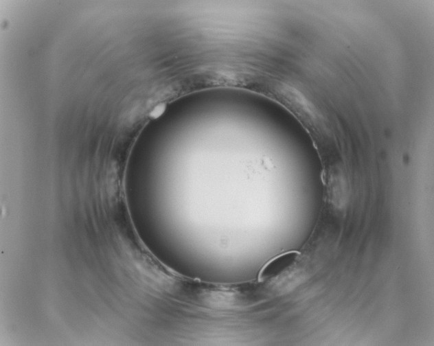 X0000088360318200705221037