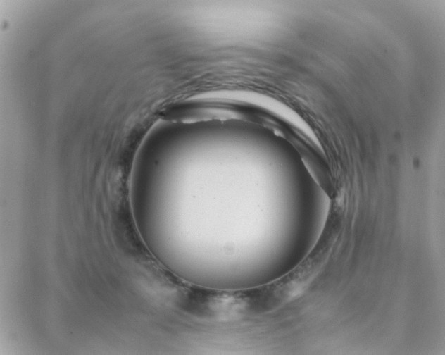 X0000088360319200705221037