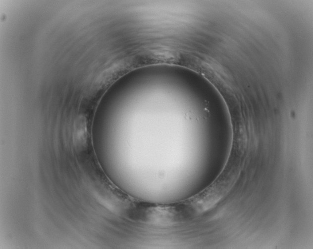 X0000088360320200705221037