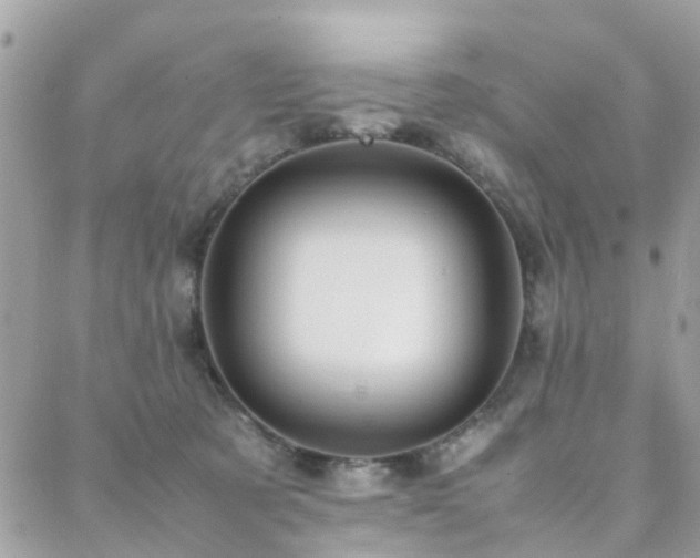 X0000088360321200705221037