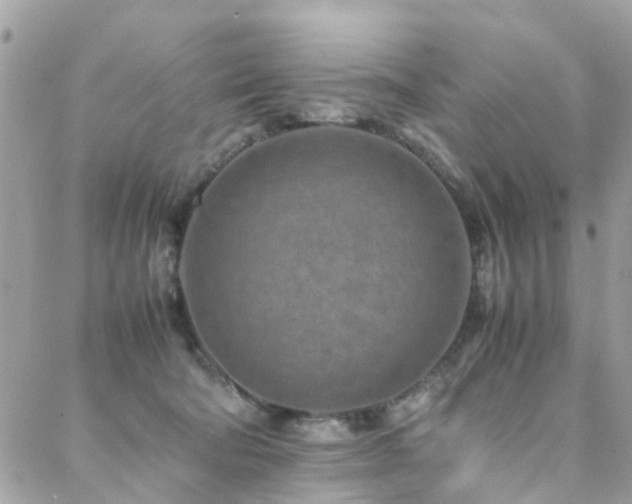 X0000088360322200705221037