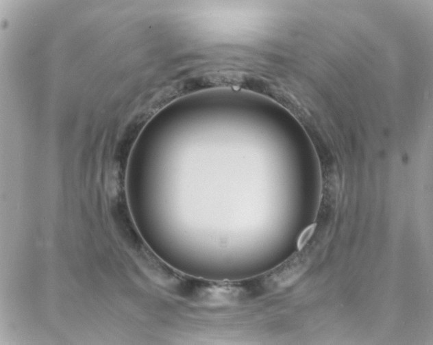 X0000088360323200705221037