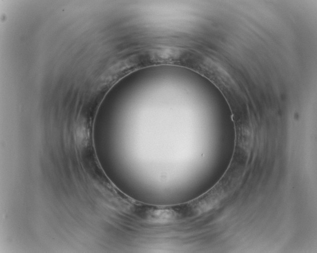 X0000088360324200705221037