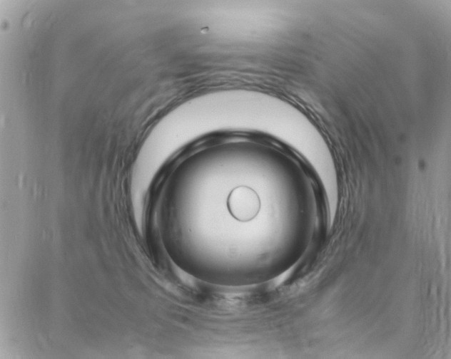 X0000088360325200705221037