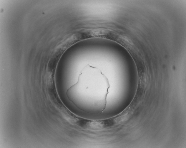 X0000088360327200705221037