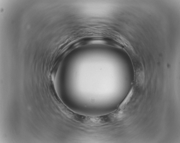 X0000088360329200705221037