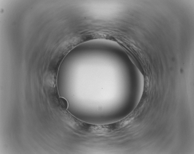 X0000088360331200705221037