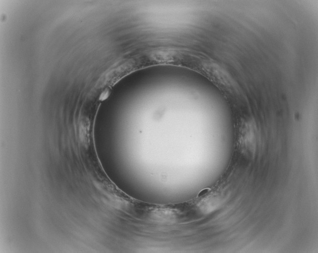 X0000088360332200705221037