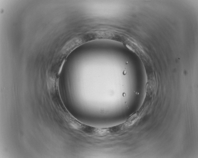 X0000088360333200705221037