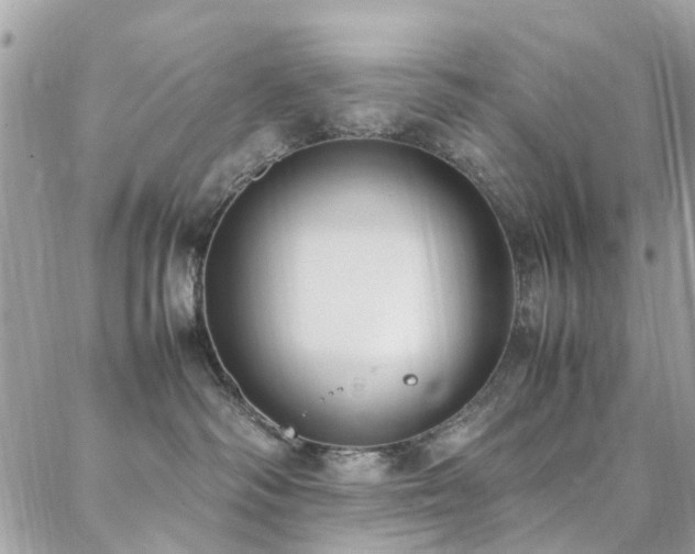 X0000088360334200705221037