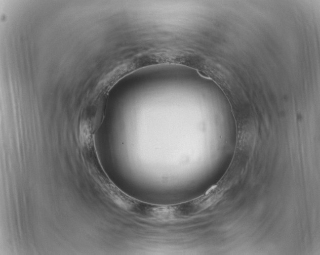 X0000088360335200705221037