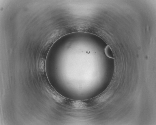 X0000088360336200705221037