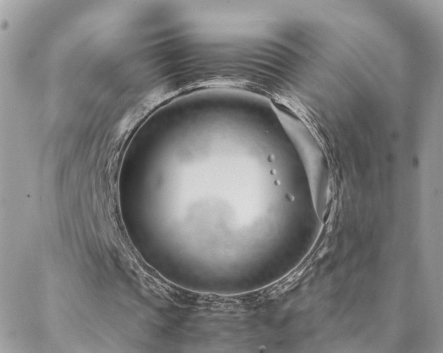 X0000088360337200705221036