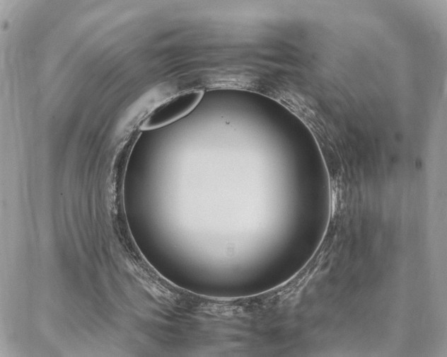 X0000088360339200705221036