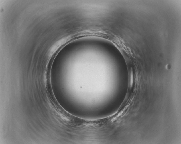 X0000088360340200705221036