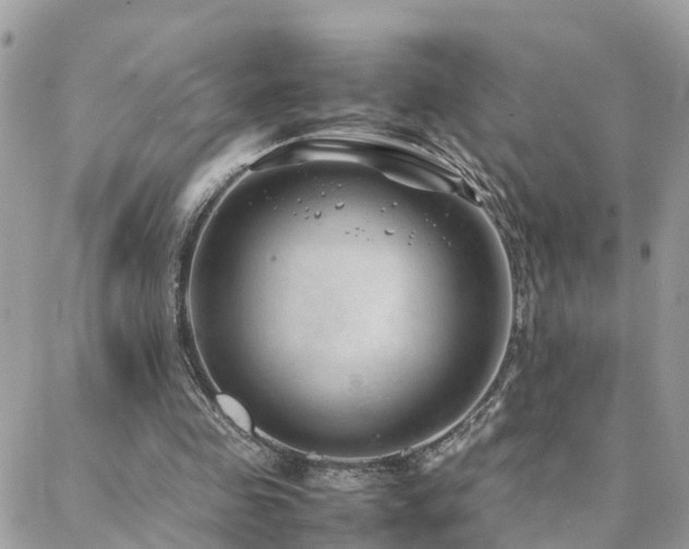 X0000088360341200705221036