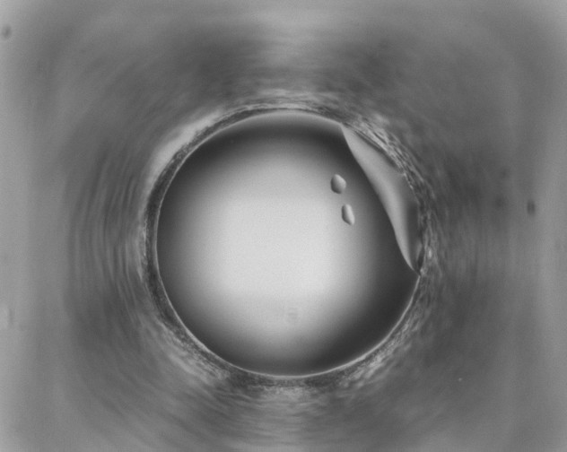 X0000088360342200705221036