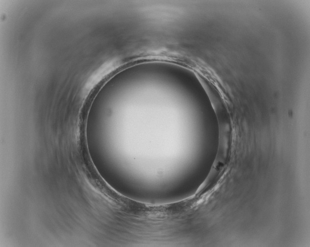 X0000088360344200705221036