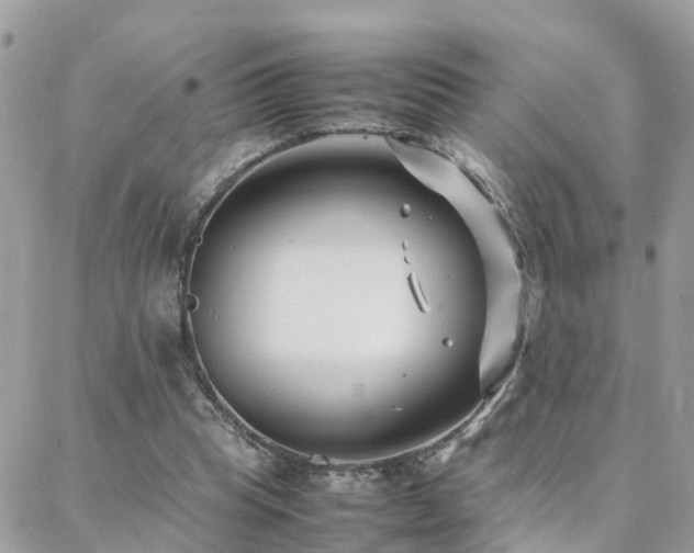 X0000088360345200705221036