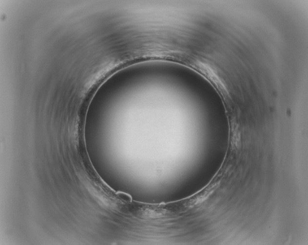 X0000088360346200705221036