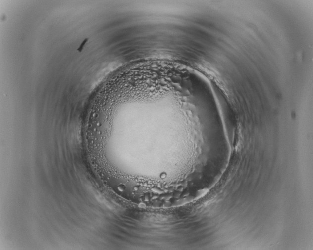 X0000088360347200705221036