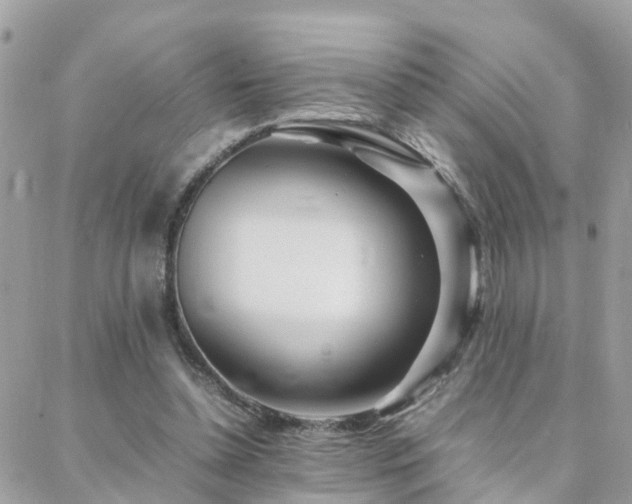 X0000088360348200705221037