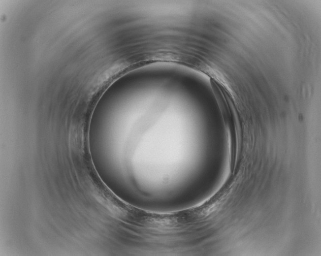 X0000088360349200705221037