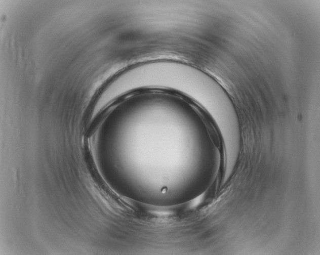 X0000088360350200705221037