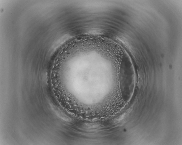 X0000088360351200705221037