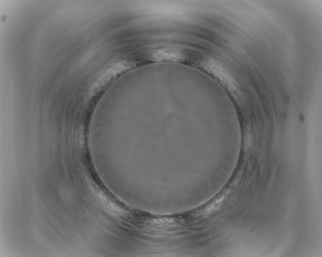 X0000088360353200705221037