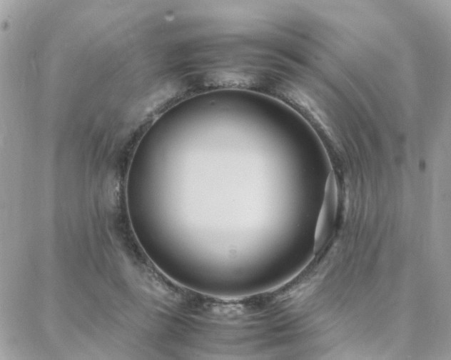 X0000088360355200705221037