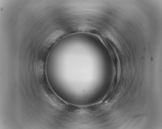 X0000088360356200705221037