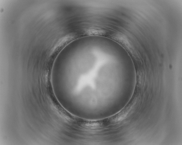 X0000088360357200705221037