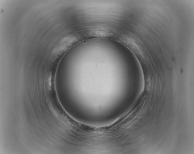 X0000088360358200705221037